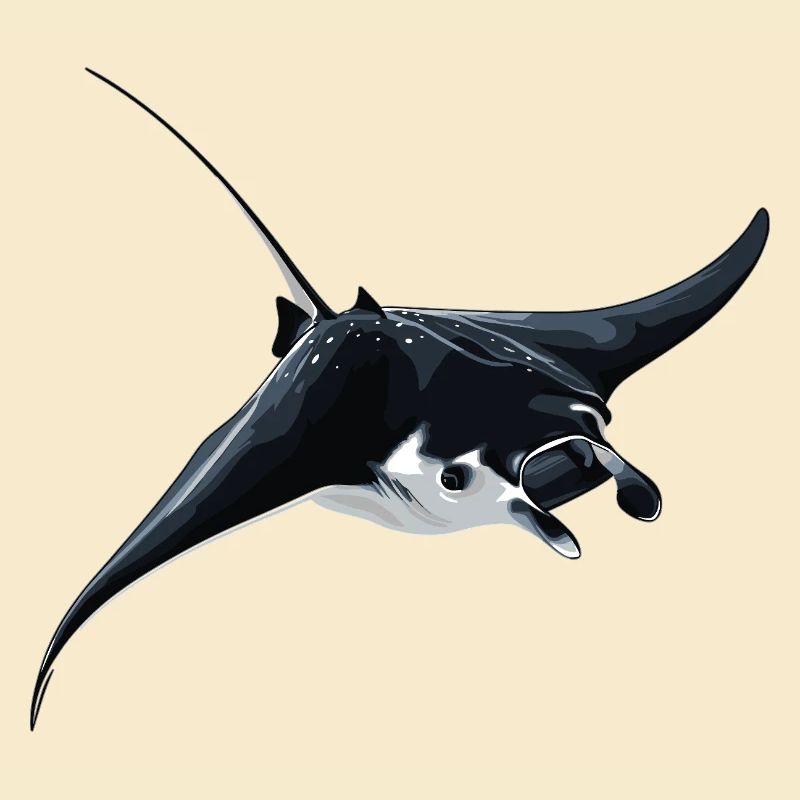 Rochen Mantarochen