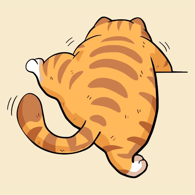 Back view tabby kitten