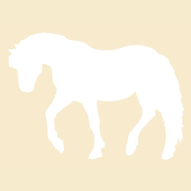 Pony