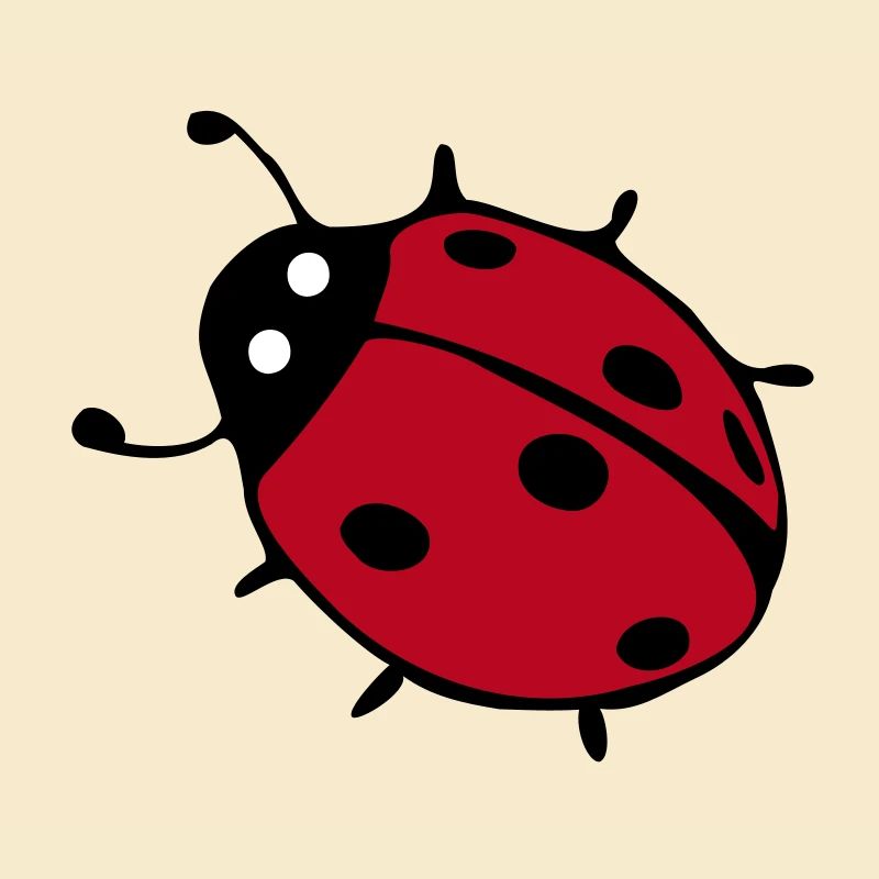 Ladybug