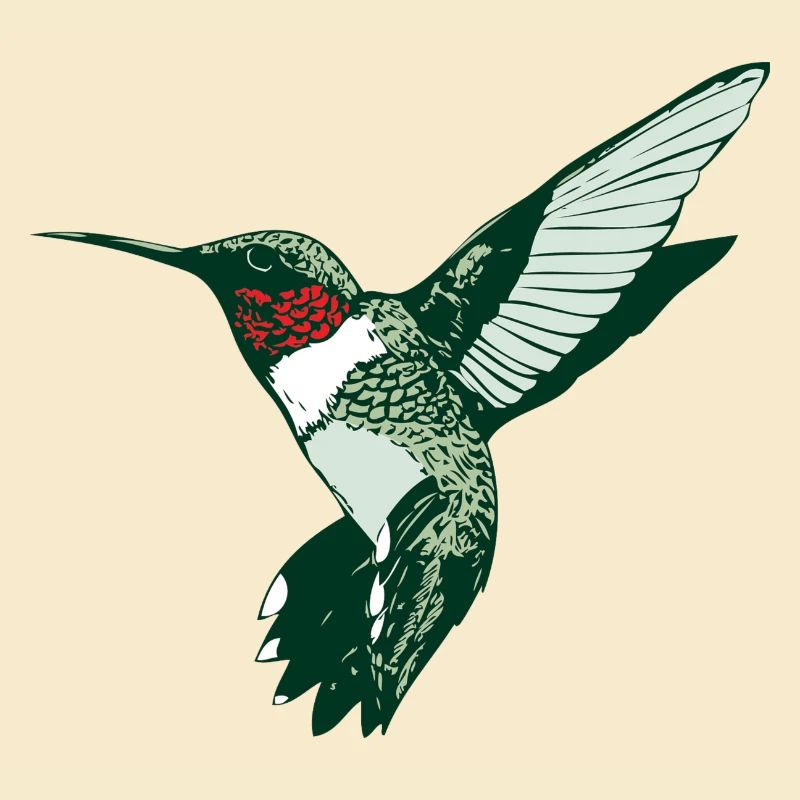 humming-bird