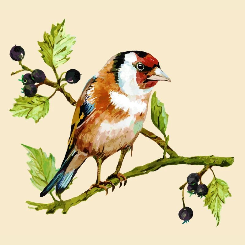 Vogel