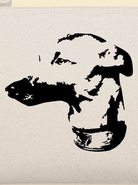 Whippet Kopf