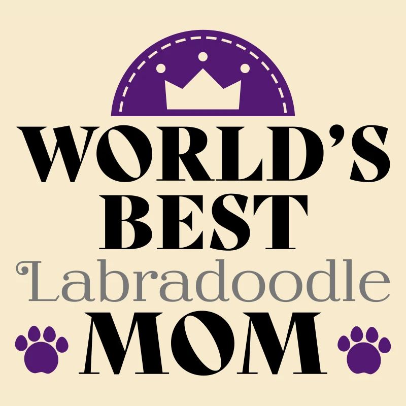 Labradoodle