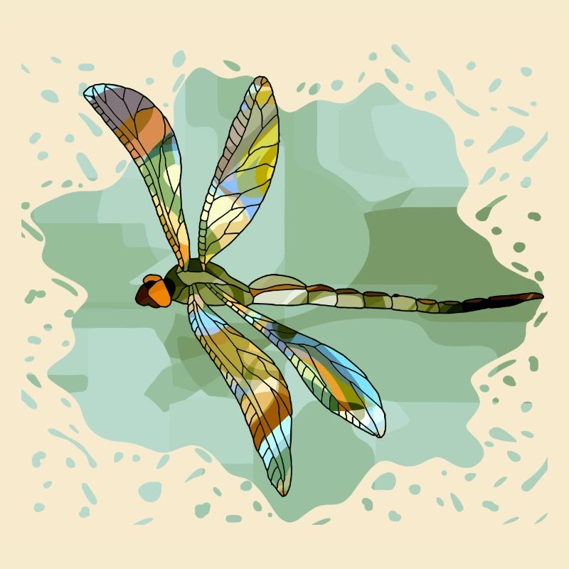 Libellule
