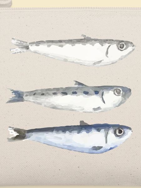 Sardine