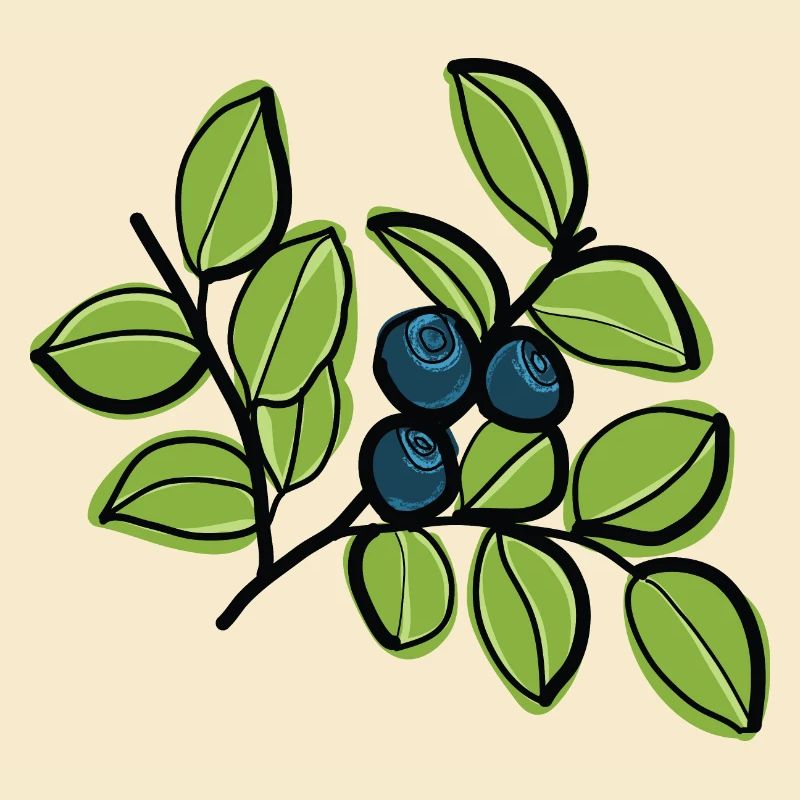 Bilberries