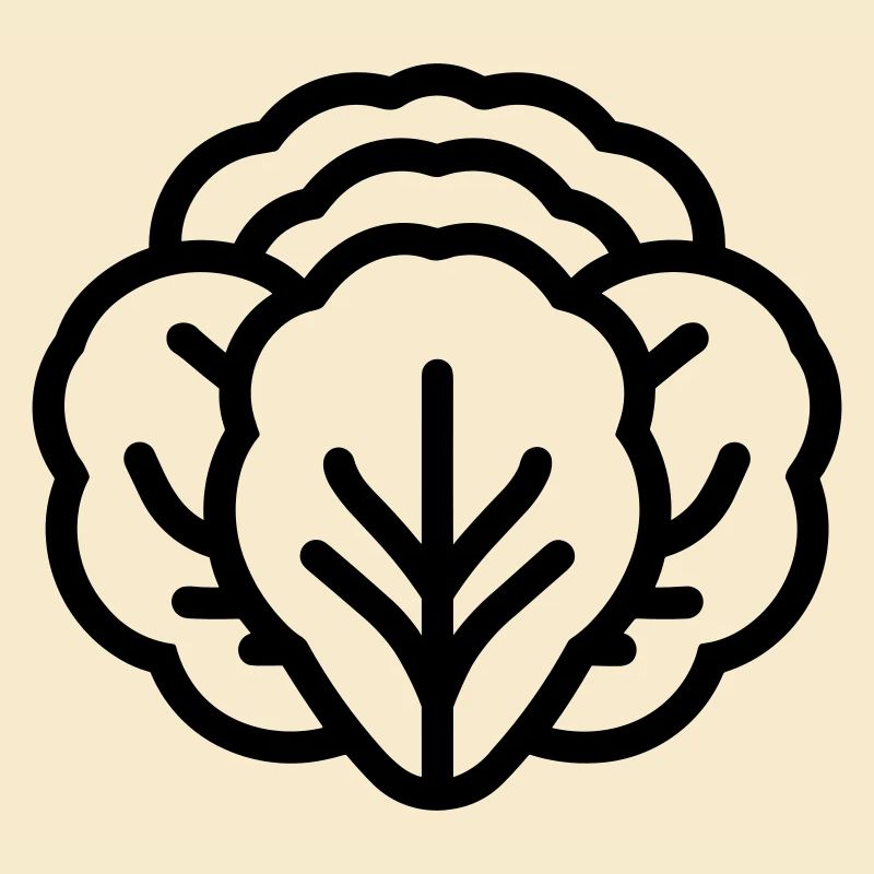 cabbage