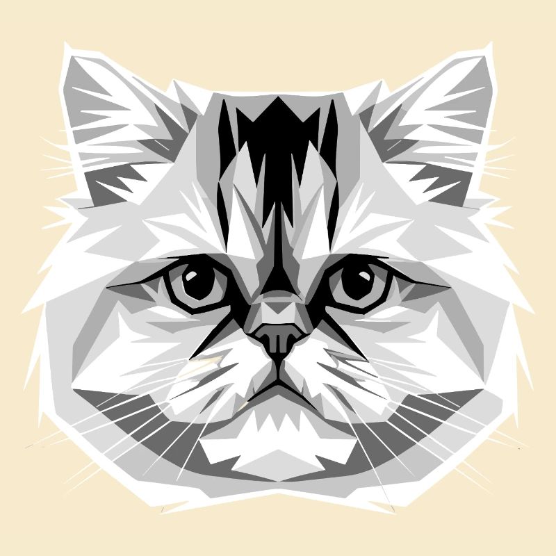 Chat perse Chat persan Chat persan Chat perse Chats mignons