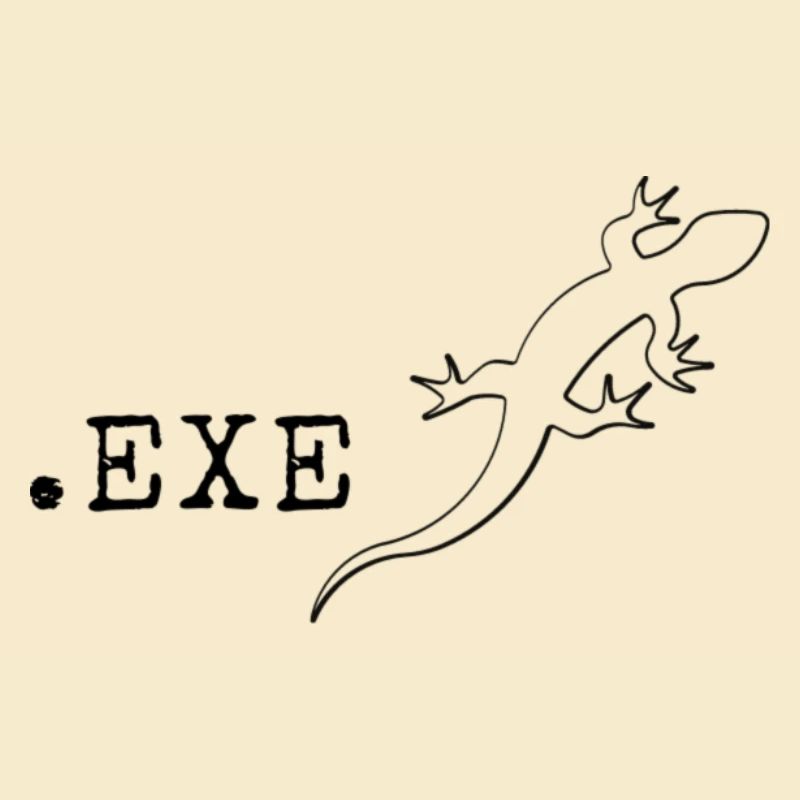 Computer scientist Programmer It Coding