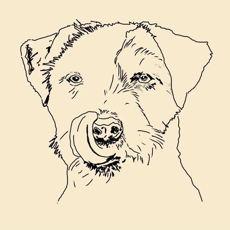 Terrier
