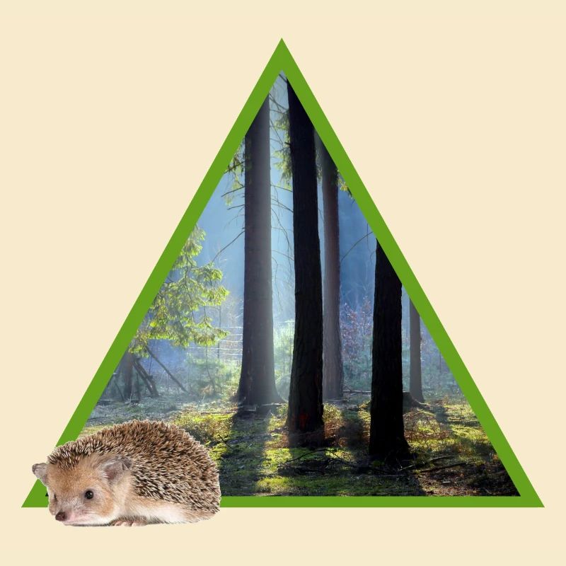 wald 52 mit igel