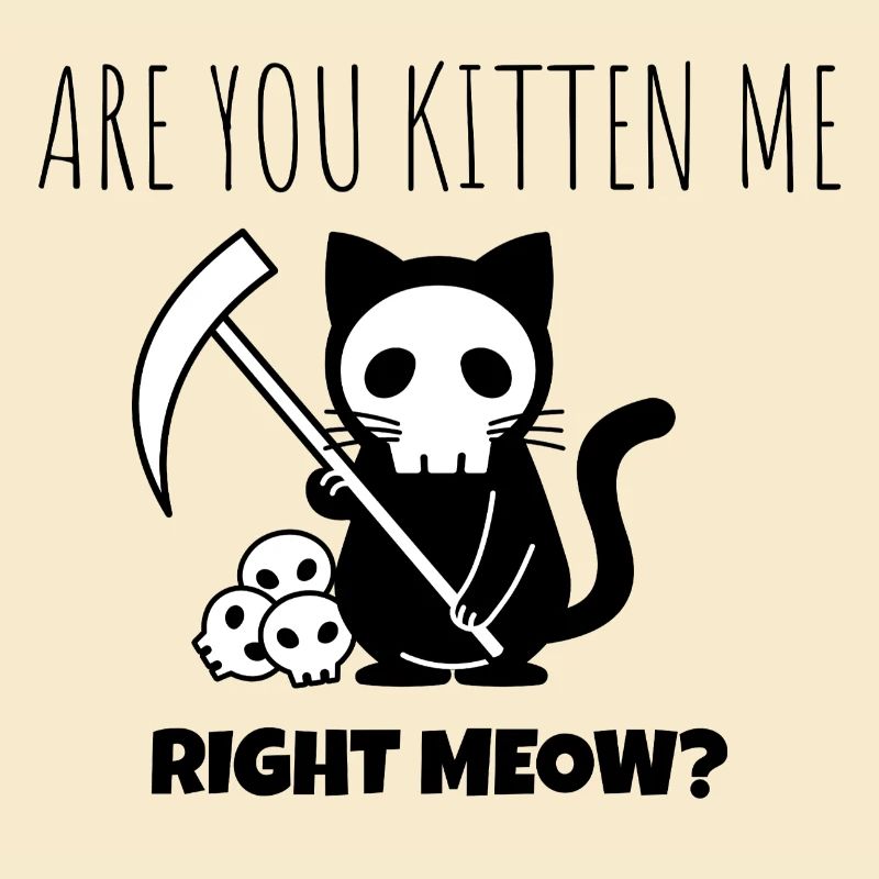 Chat marrant