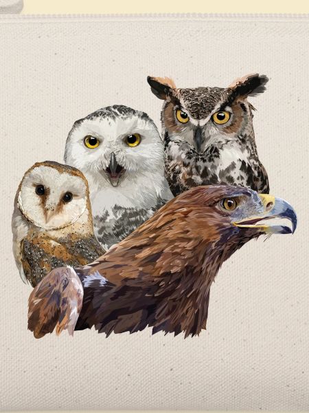 Adler und Eulen
