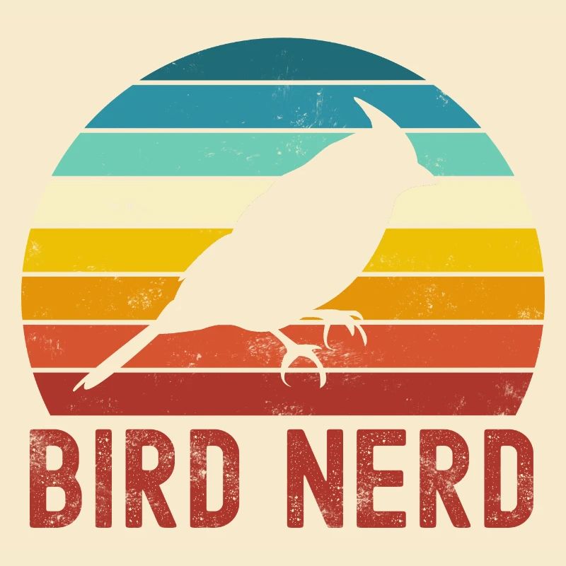 Oiseaux oiseaux