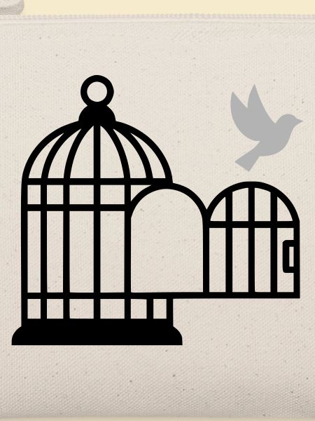 Birdcage Open Freedom