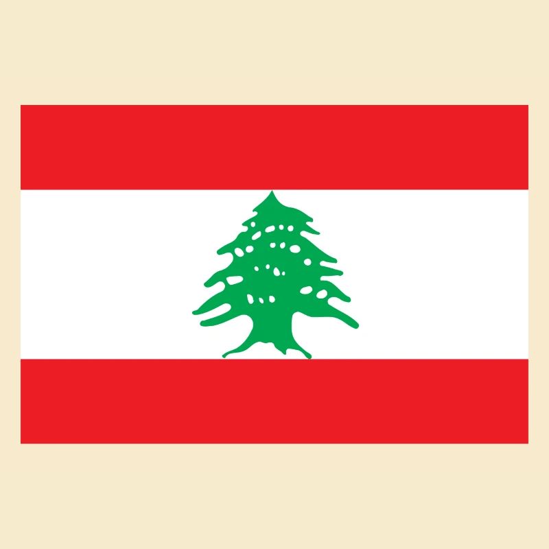 Libanon libanesisch Flagge Fahne