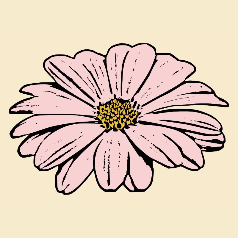 Fleur Rose Fleur Rose Fleurs Rose Fleurs Rose