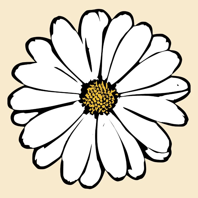 Fleur Fleurs Blanches Fleurs Blanches Été Hippie Idée Cadeau