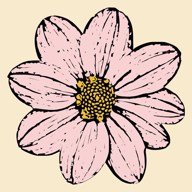 Fleur Rose Fleur Rose Fleurs Rose Fleurs Rose