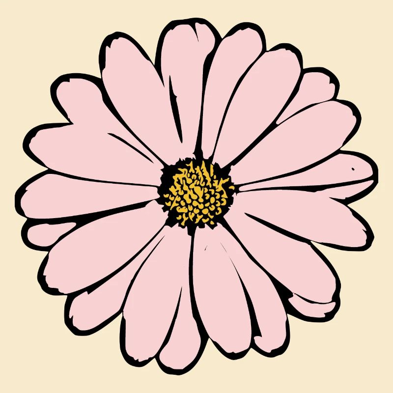 Fleur Rose Fleur Rose Fleurs Rose Fleurs Rose