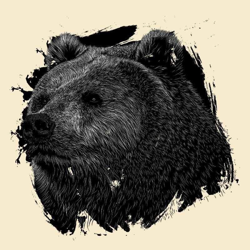 Bär Grizzly