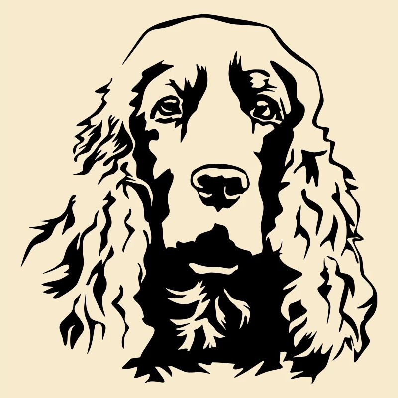 Tête de Cocker Spaniel