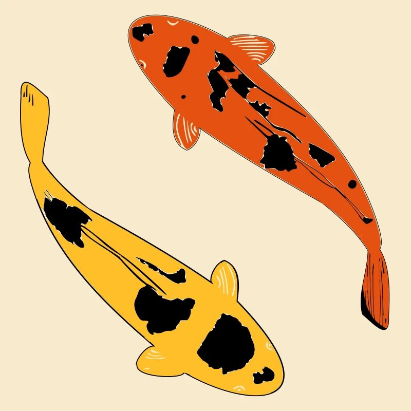 Koi Karpfen