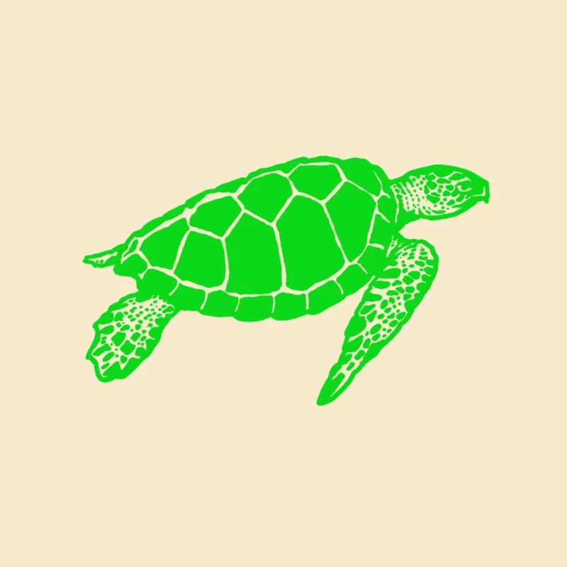 turtle