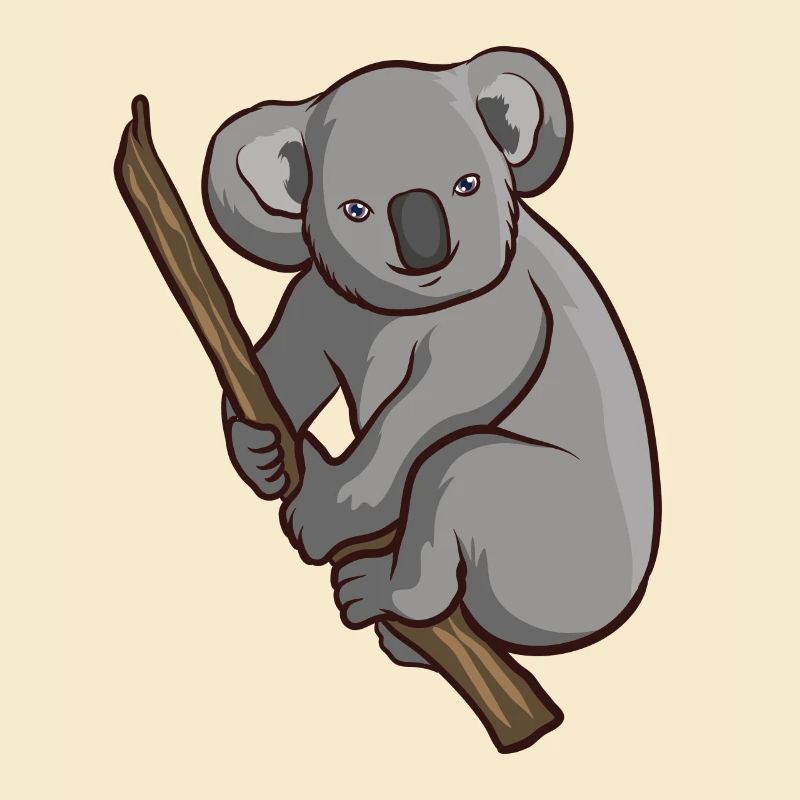 Koalabär
