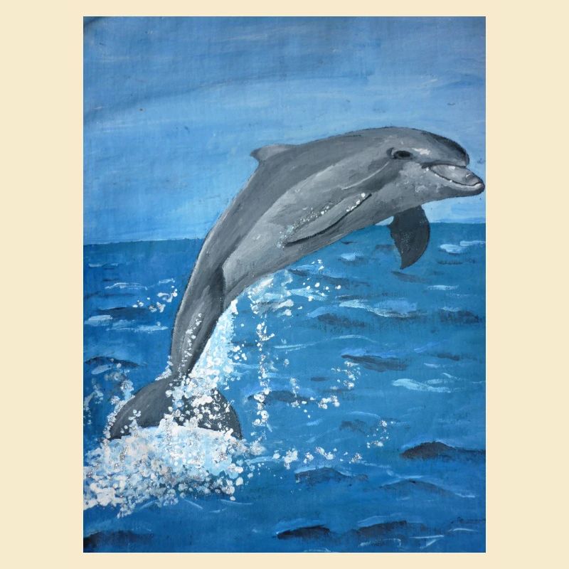 Delphin