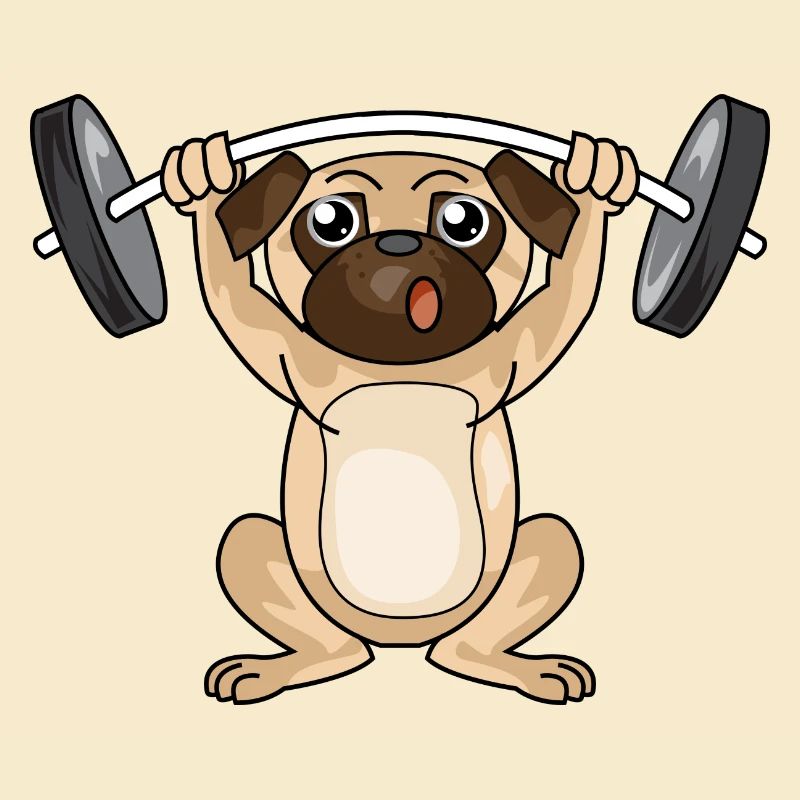 Dog Pug Training Weight Dumbbells Gift