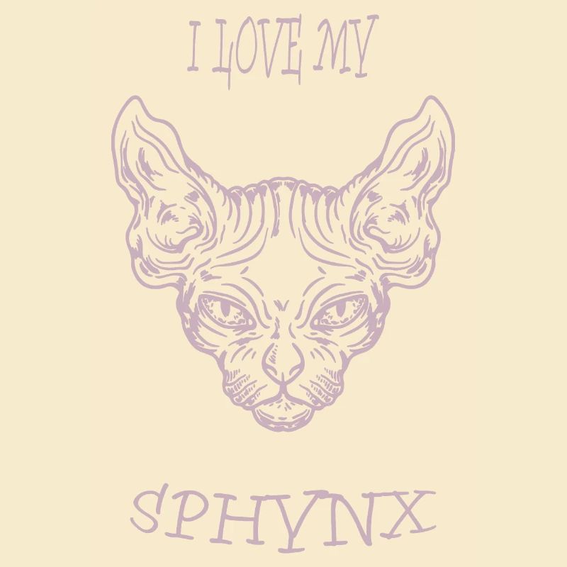 Chat nu Sphynx chat