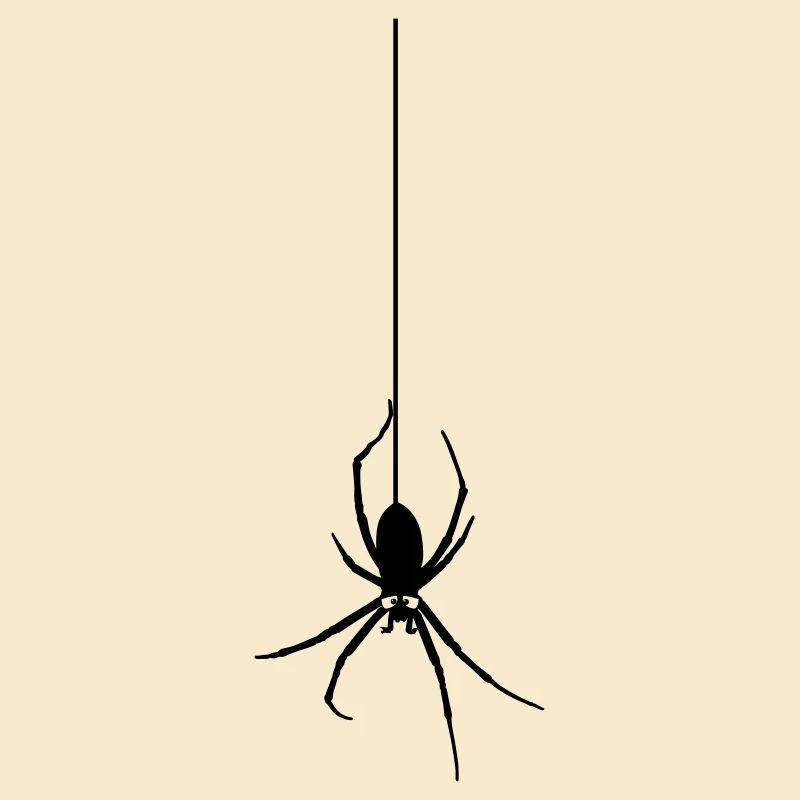 Die Spinne