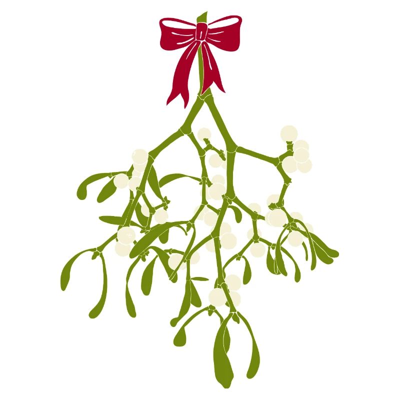 Gui avec ruban rouge - Décoration de Noël