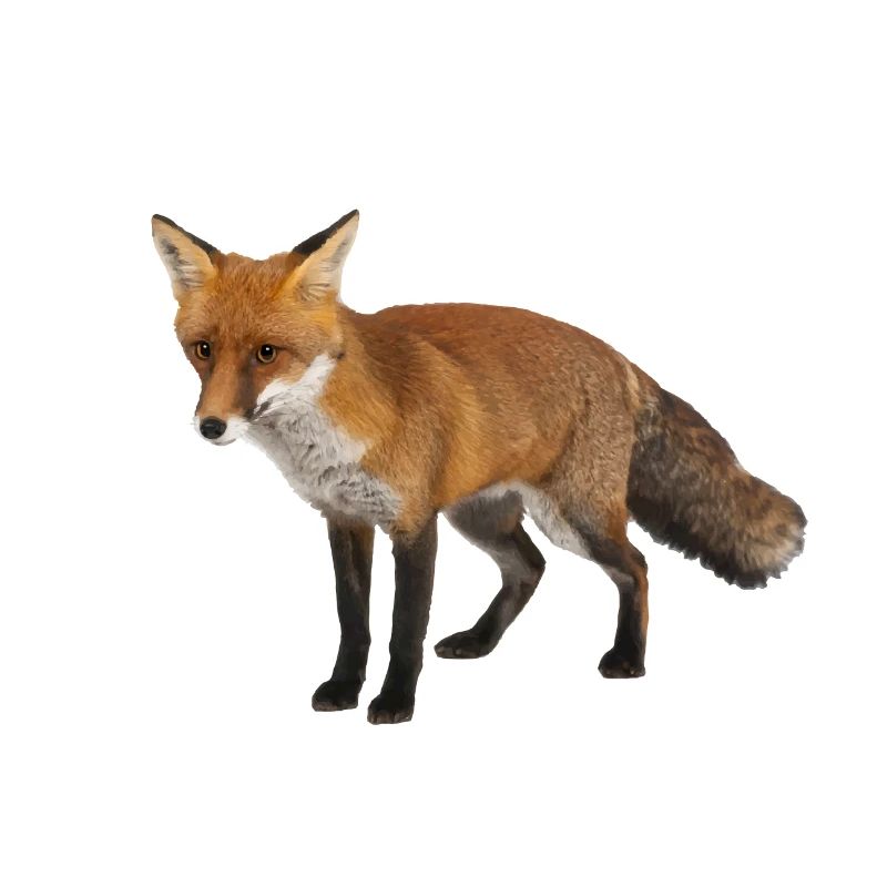 Fuchs