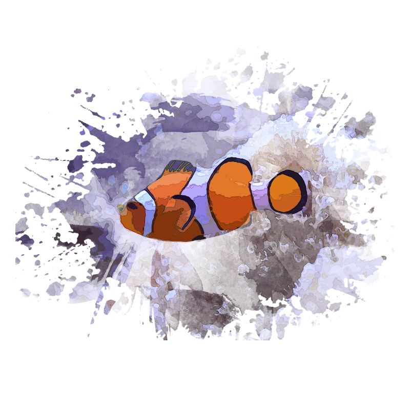 Fisch Clownfisch