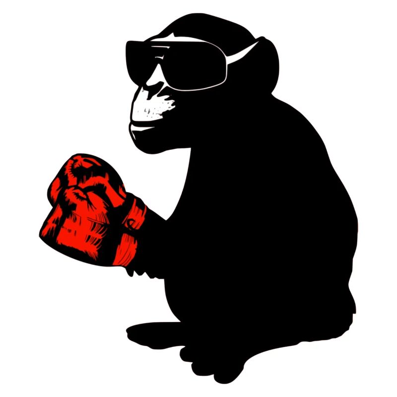 boxer monkey