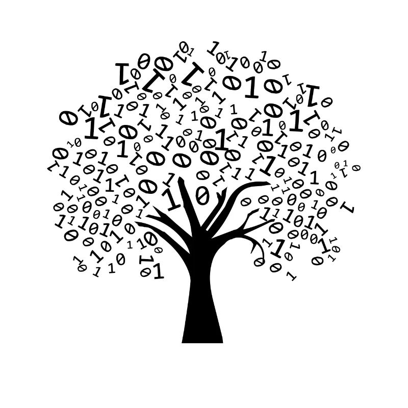 Programmer Binary Tree