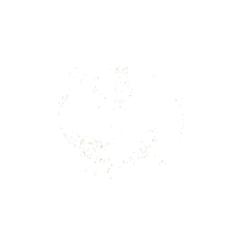 Cochons d'Inde Rosette Cochons d'Inde