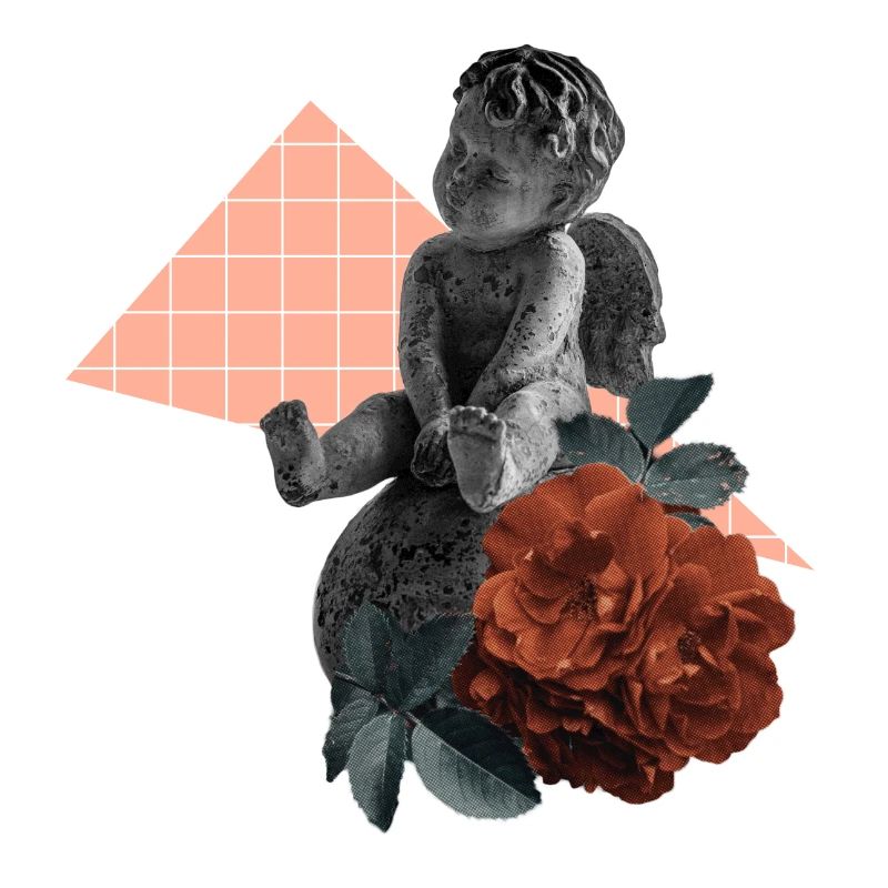 Cherub Rose Ästhetik