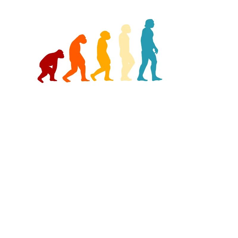 E-Gitarre Evolution