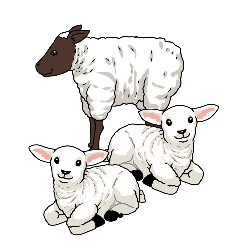 Sheep Sheep Ungulates Lamb Easter Mutton Herd