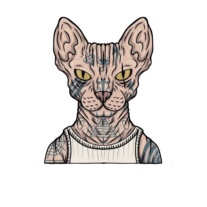 Tatouage mignon de chat gla poilu de sphynx de chat