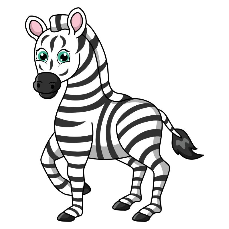 zebra