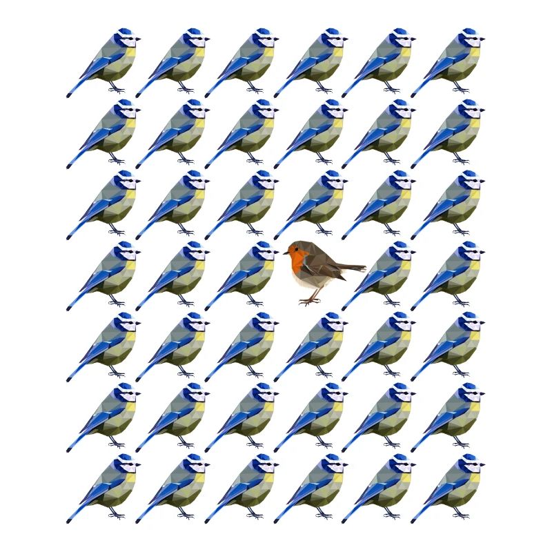 be different blue robin bird pattern