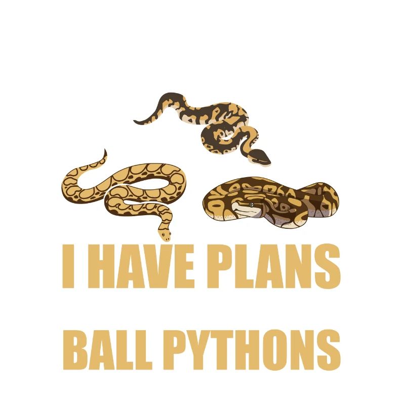Plans With My King Python Snake Boa