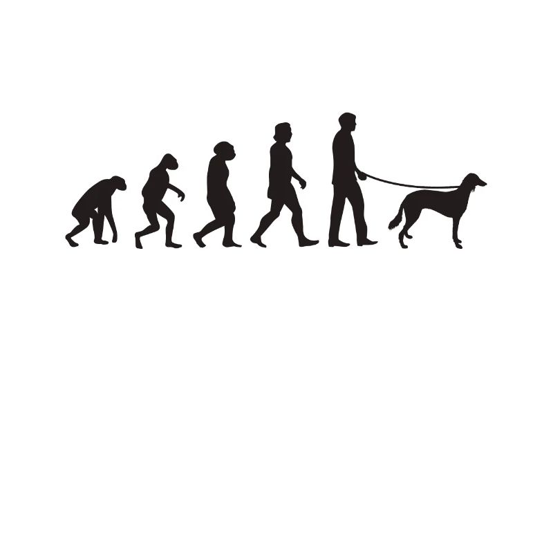 Saluki Evolution Persischer Windhund Geschenk