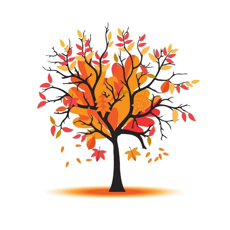 Automne Feuillage Automne Arbre d’automne Saison dorée