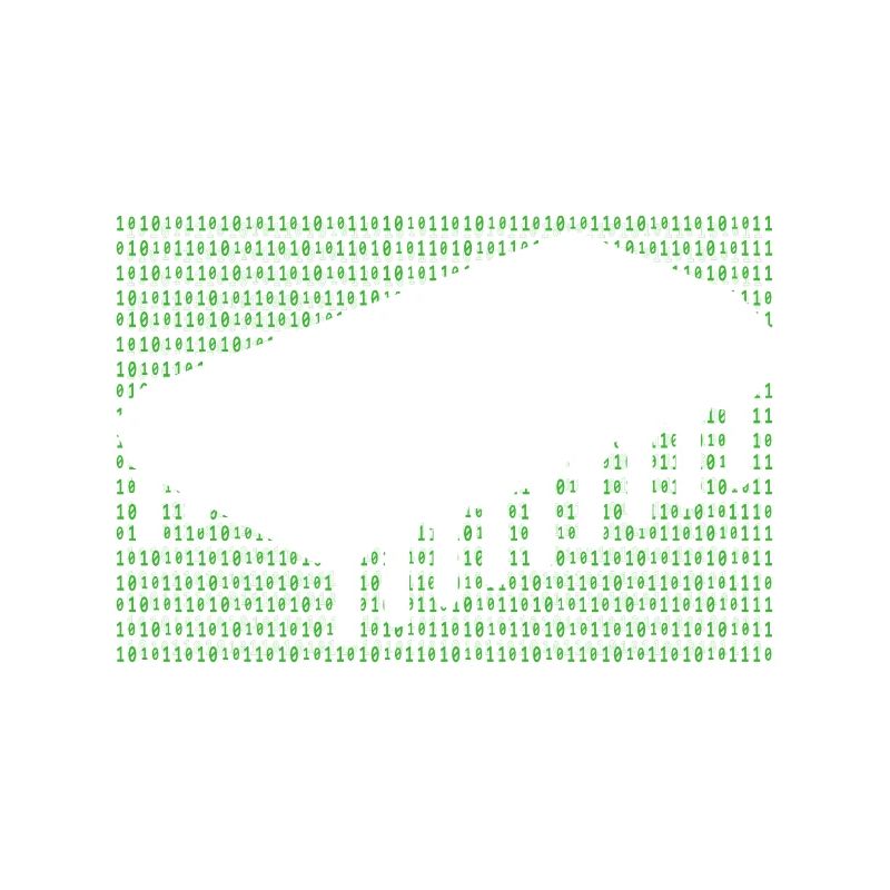 Programmer Coder Software Developer